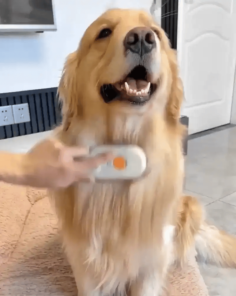 FurBreeze Magic Comb